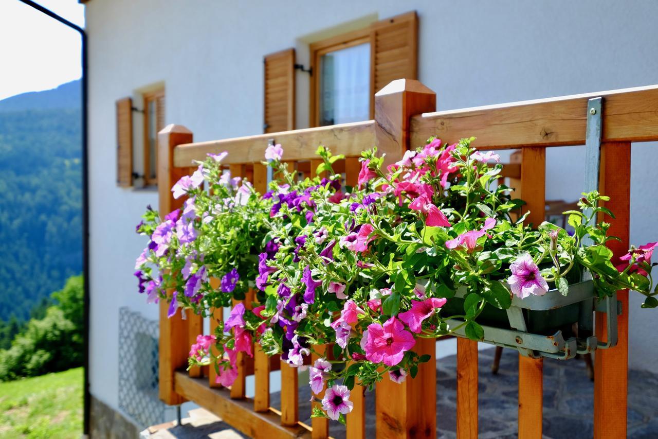 Agriturismo Reinhof San Felice  Exteriér fotografie